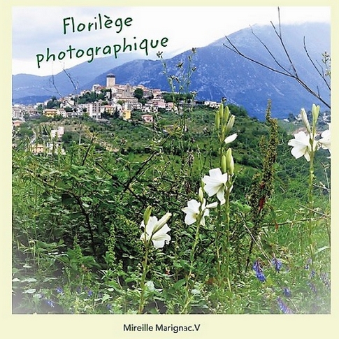 Album photographique Mireille Marignac.V