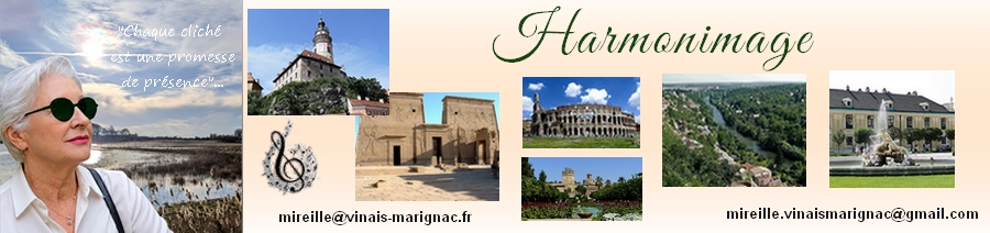 Profil photographique Mireille Marignac-Vinais